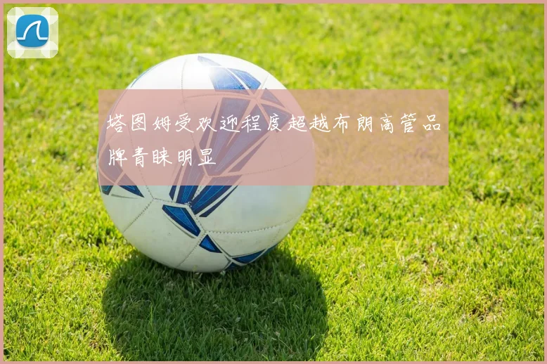 塔图姆受欢迎程度超越布朗高管品牌青睐明显